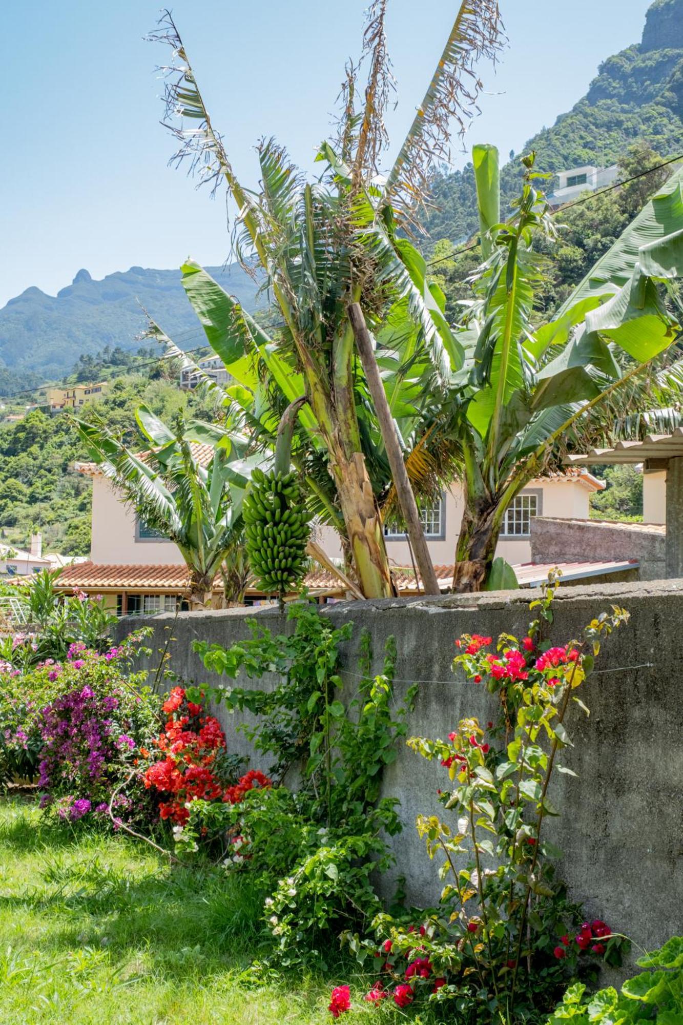 Sao Vicente Guest House Exterior photo